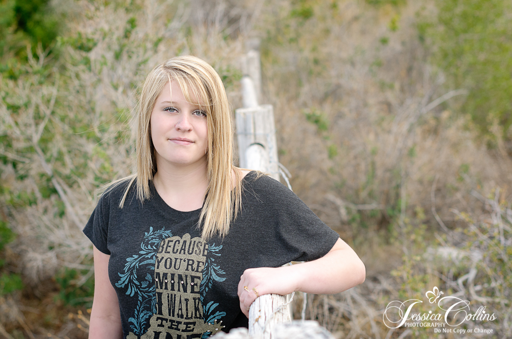 _DSC3706-SteveCarpenter-2014