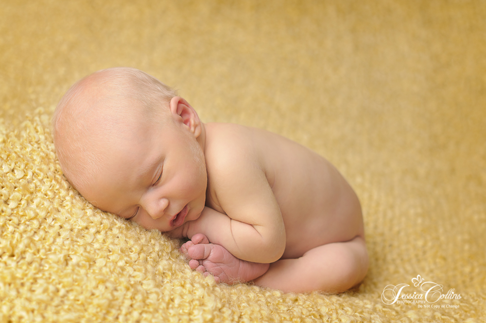 _DSC3967-JackModel-2014