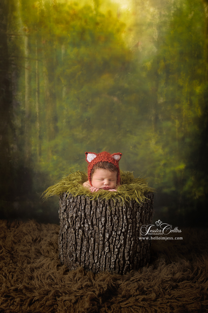 Newborn Photographer | Jessica Collins Photography | Idaho | Fox