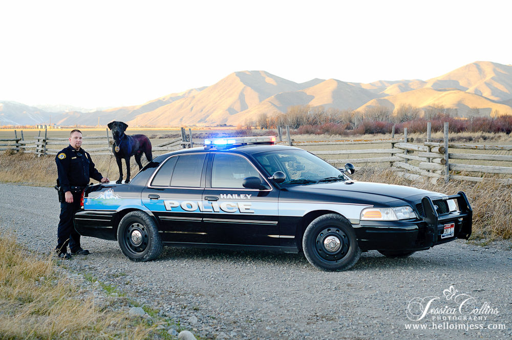 Hailey Idaho Police Dog | Jessica Collins Photography 