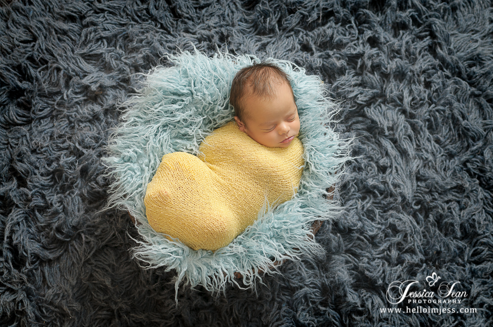 Hailey Idaho newborn Photographer Jessica Jean Photography