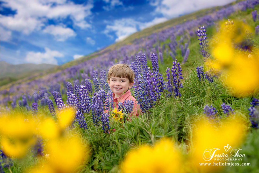 _DSC0773-DyerFamily-2016-Edit