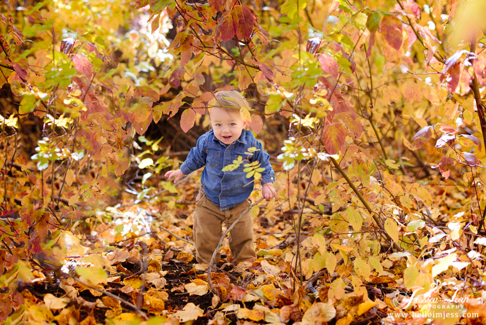 Children's Photographer | Jessica Jean Photography | Hailey Idaho 