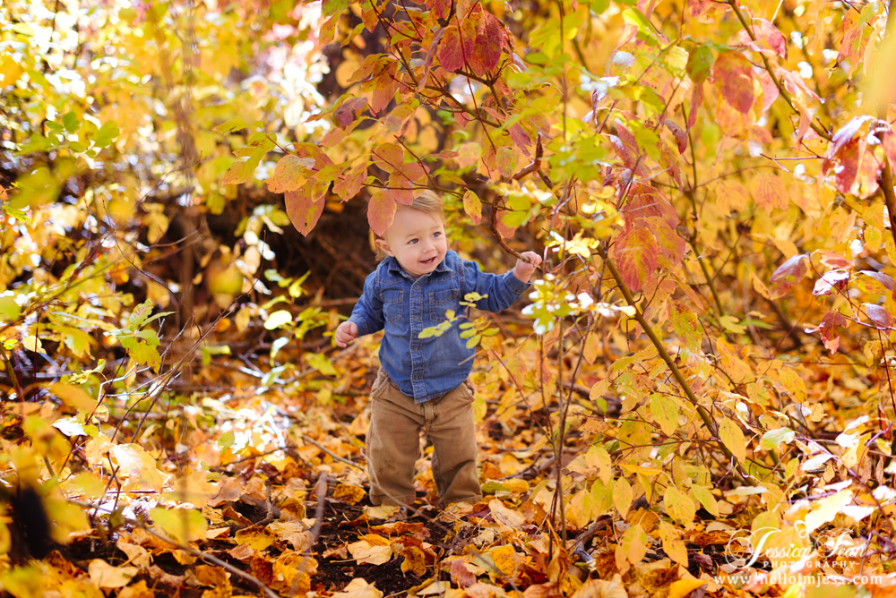 Children's Photographer | Jessica Jean Photography | Hailey Idaho 