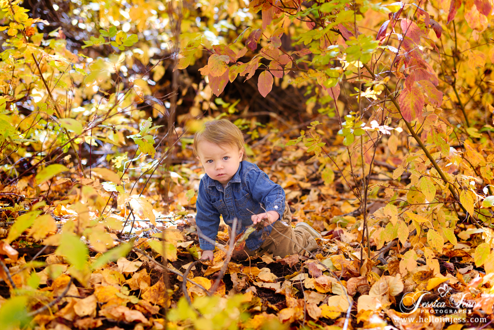 Children's Photographer | Jessica Jean Photography | Hailey Idaho 