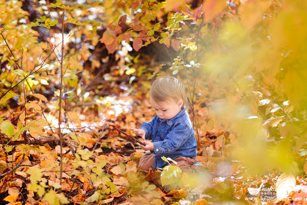 Children's Photographer | Jessica Jean Photography | Hailey Idaho 
